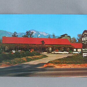 Vintage Postcard - Thomas Vineyard Cucamonga California - Columbia